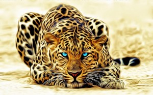 Create meme: leopard