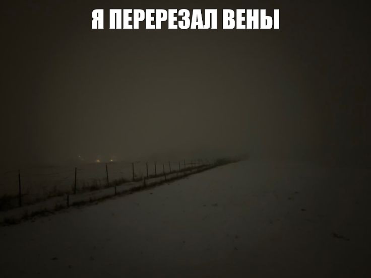 Создать мем: дерево пейзаж, утро туман, пейзаж