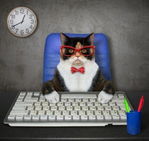 Создать мем: кот на клавиатуре, умный кот, котик задротик