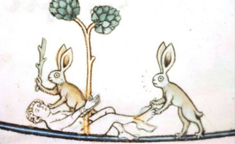 Create meme: medieval rabbits, suffering middle ages hare, the hare of the middle ages