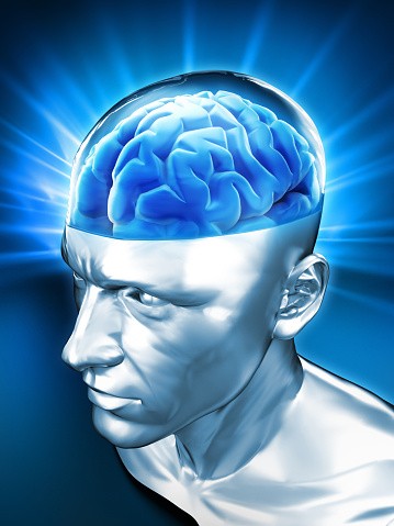 Create meme: the brain, the brain and consciousness, the human brain