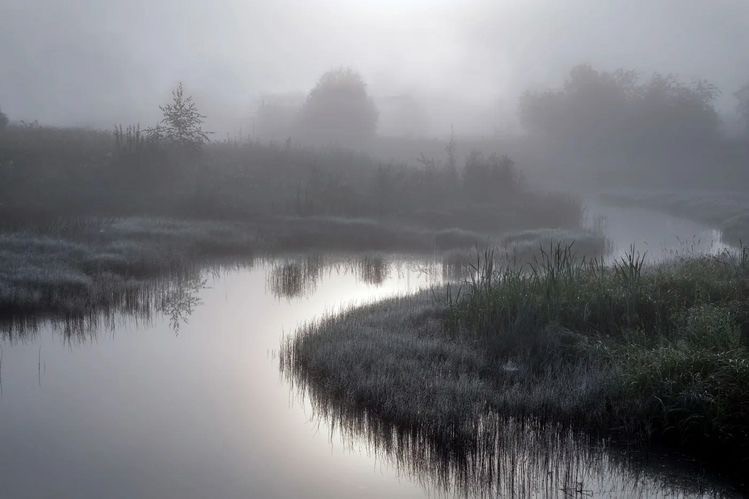 Create meme: the river in the fog, lake rakhmanovskaya staritsa fog, fog over the river
