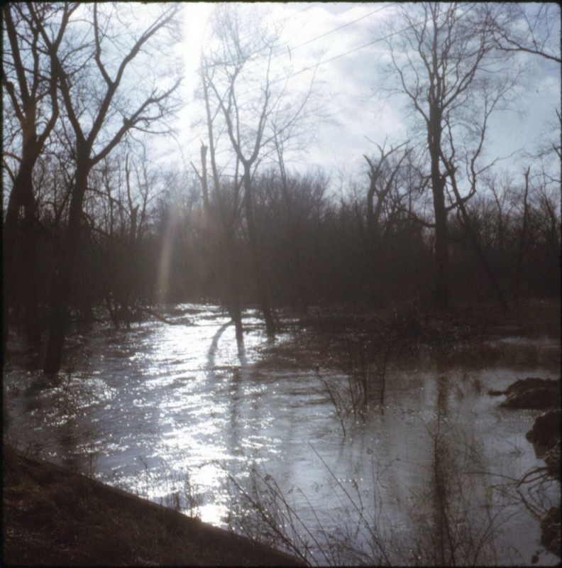 Create meme: the overflow of the river serdoba, bolva river, Petrovsky park Yelets