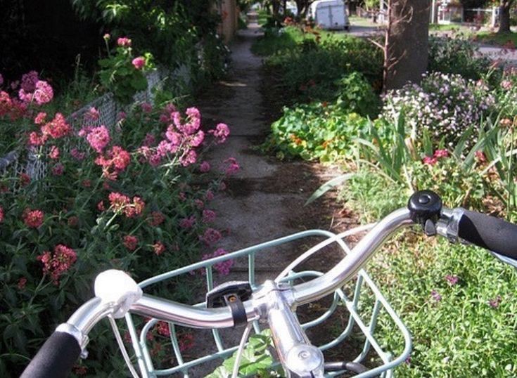 Create meme: bicycle in the garden, bicycle in landscape design, old bike
