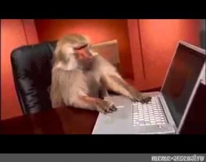 monkey typewriter gif