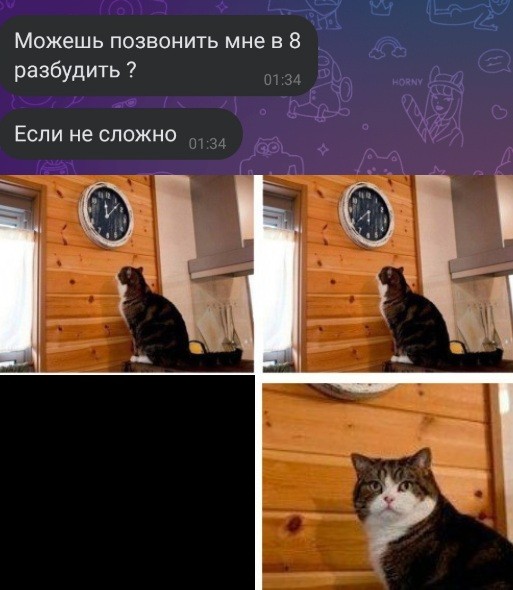Создать мем: мемы с котами, кот смотрит на часы мем, мем кот