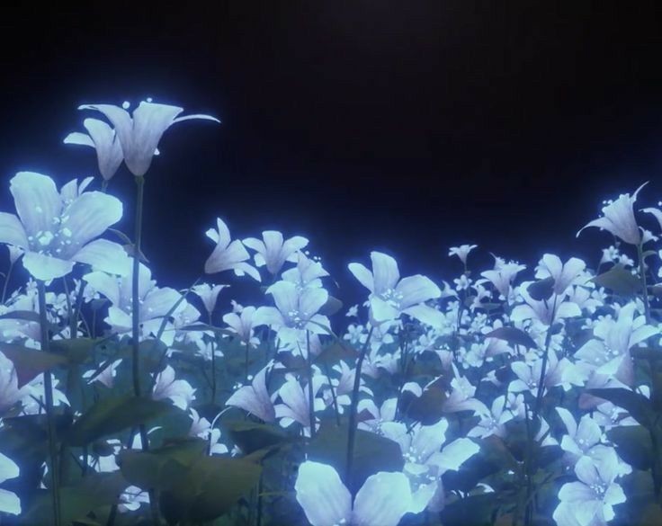 Create meme: gif anime flowers, white flowers, flowers 