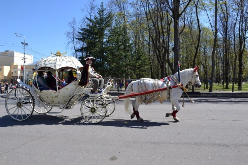 Create meme: carriage, carriage carriage, wedding carriage with horses