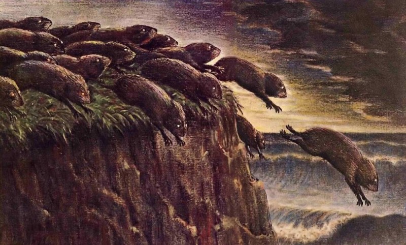 Create meme: a flock of lemmings, who are lemmings, lemmings from the cliff