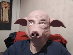 Создать мем: морда свиньи, голова свиньи, маска свиньи