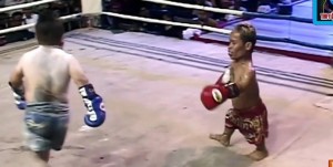 Создать мем: muay, драка карликов, muay thai epic