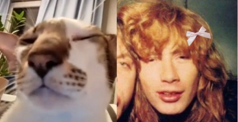 Create meme: Mustaine Dave, cat , Dave Mustaine 1992