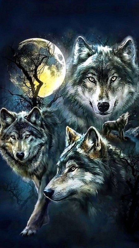 Создать мем: волки ночью, картина волк, волки красивые