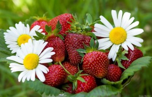 Create meme: chamomile and strawberries