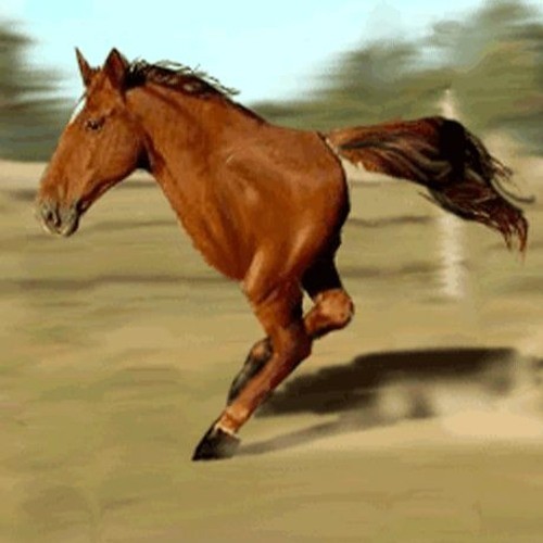 Create meme: Tygydym horse, A two-legged horse, tygdyn horse