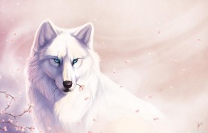Создать мем: красивый волк, белая волчица аниме с голубыми глазами, волки белые