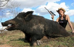 Create meme: hunter, the Royal boar hunting, hunting wild boar
