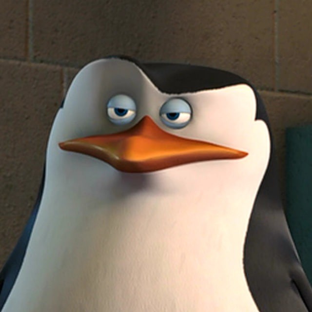 Create meme: skipper from Madagascar, rico penguins from madagascar, A penguin from Madagascar