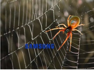 Create meme: spider, the spider's web., trapdoor spiders spiders