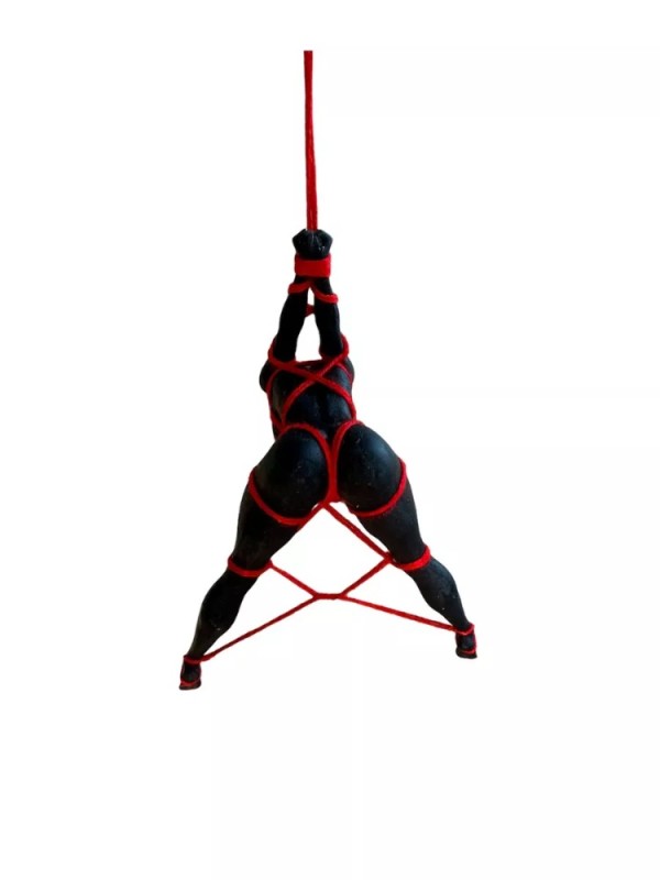 Create meme: shibari, shibari pendant, The shibari man