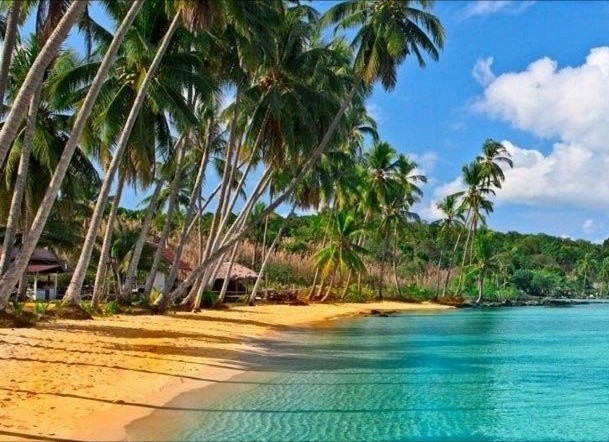 Создать мем: пальма на острове, райский остров, море