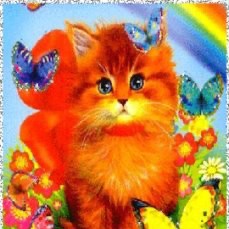 Создать мем: анимационные открытки, рыжий кот с бабочкой, мигающие котята