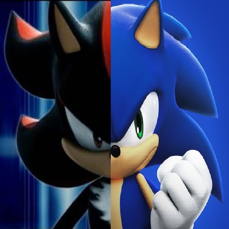 Create meme: sonic vs shadow, sonic boom shadow, sonic x