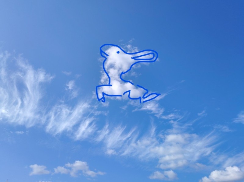 Create meme: clouds in the shape of animals, clouds in the form of animals, figures from clouds