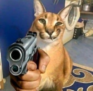 Создать мем: каракал гоша, каракал, шлепа кот с пистолетом