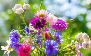 Create meme: a bouquet of wild, a bright summer bouquet of wildflowers, summer wildflowers