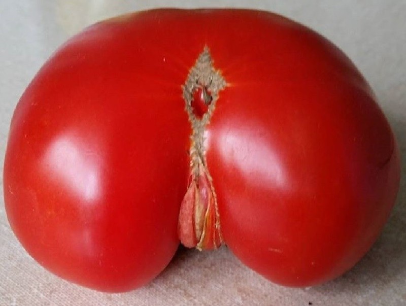 Create meme: up to the tomatoes, tomato 