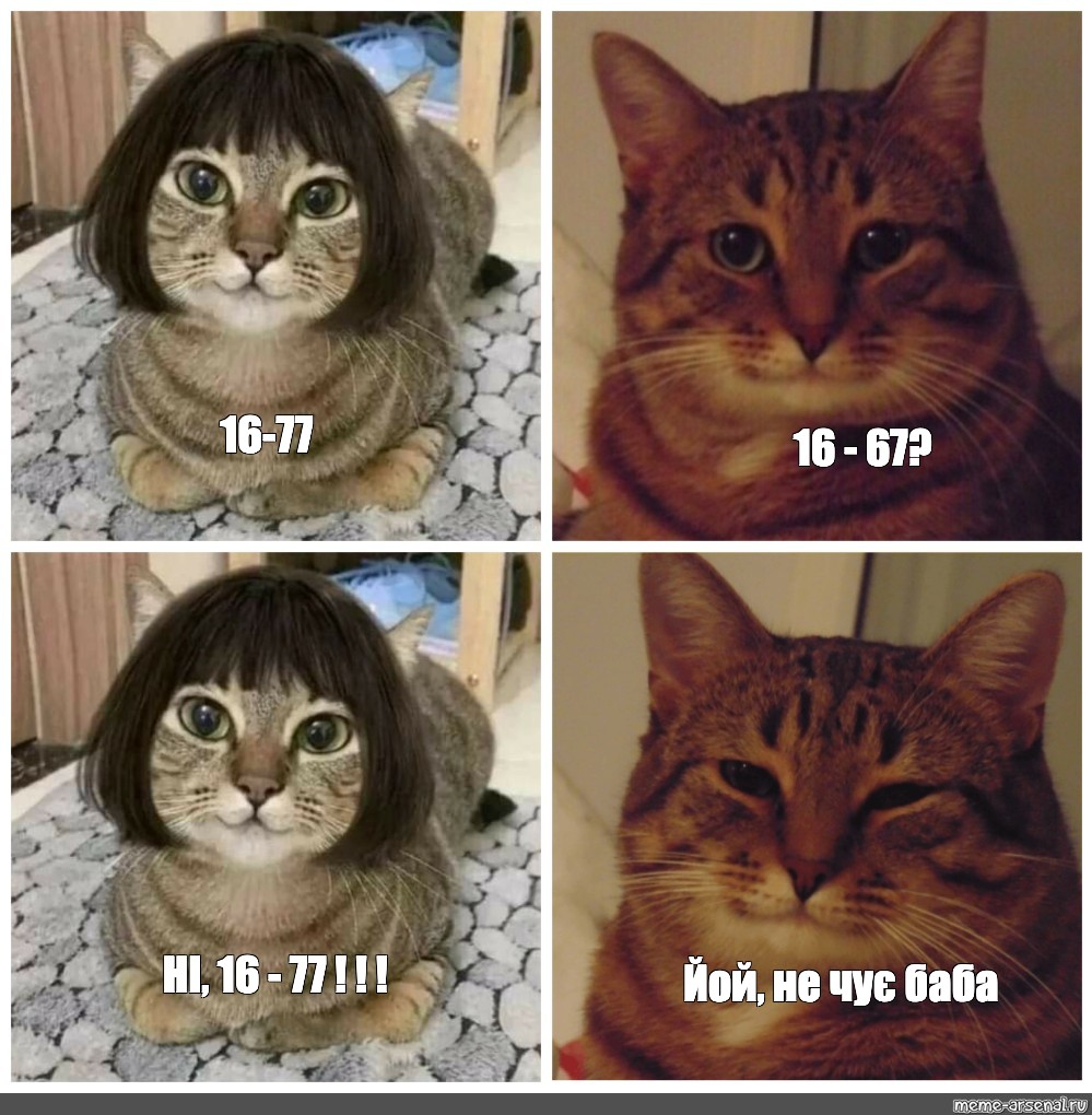 16 meme. Котики мемы комиксы. Кот в куртке Мем. Как нарисовать мемы с котами. Мемы коты Инстаграм.