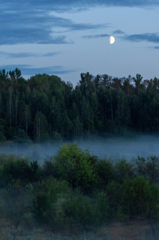 Создать мем: пейзаж туман, пейзаж красивый, ночь лес луна