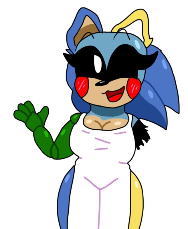 Create meme: Mary Sue Sonic, sonic tg tf, sonic exe