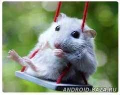 Create meme: cute hamster, cute hamsters drugarice, hamster cute