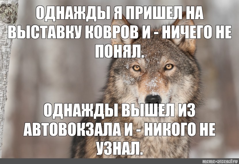 Однажды я вышел. Мем волк правда. Волк вышел к людям Мем. Однажды в пятницу а может и в субботу волк вышел на охоту. Однажды волк хотел попасть.