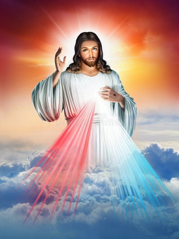 Create meme: our Lord Jesus Christ, Jesus Christ , divine mercy