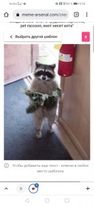 Create meme: the raccoon with the kitten, raccoon gargle