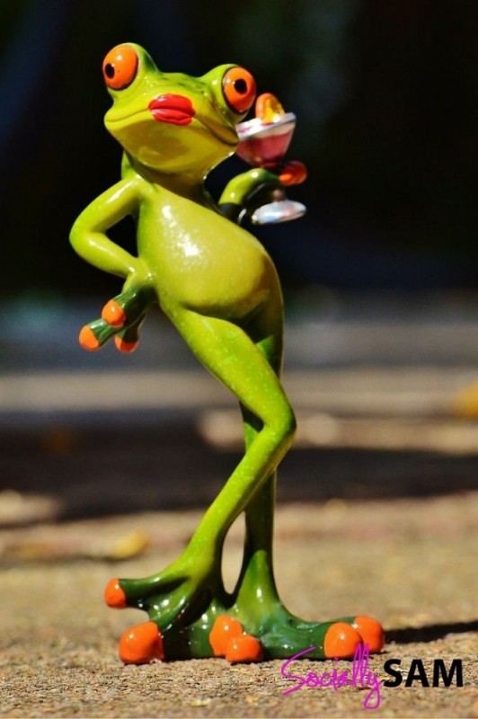 Create meme: frogs, funny frogs, beautiful frogs