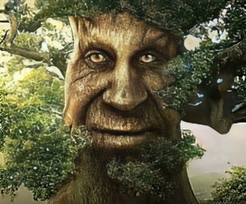 Create meme: oak from vk meme, a tree with a face, wise mystical tree