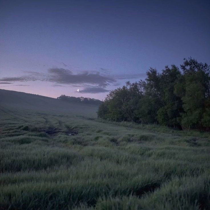 Create meme: fog in the field, nature landscapes, beautiful nature 