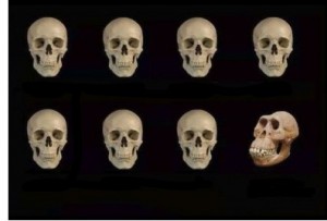 Create meme: skull pattern, skull black, skull