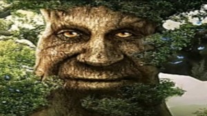 Create meme: giant, people, tree