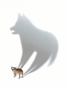 Создать мем: пикча кот идеальный, размытое изображение, волк размытый мем