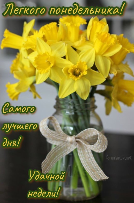 Create meme: postcards with Monday, daffodils bouquet, yellow daffodils bouquet