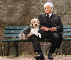 Create meme: dog, Belmondo a man and his dog, Jean-Paul Belmondo with a dog