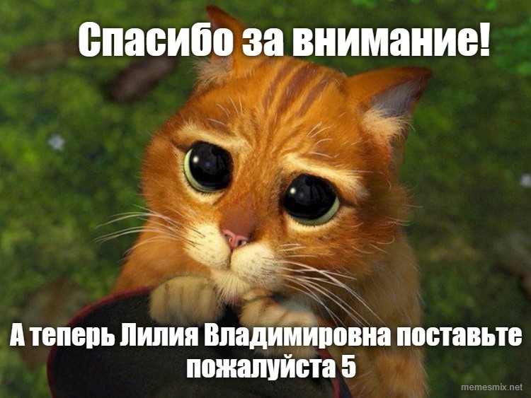 Создать мем: спасибо за внимание поставьте пять, мем спасибо за внимание поставьте 5 пожалуйста надежда александровна, спасибо за внимание татьяна владимировна поставьте 5 пожалуйста