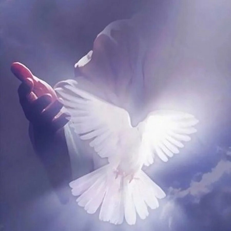 Create meme: The dove is the holy spirit, The descent of the Holy Spirit dove, Pigeon in