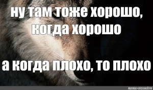 Тоже хорошо. Плохо хорошо плохо Мем. Мем с волком лучше опоздать. Волк Мем у меня тоже была.