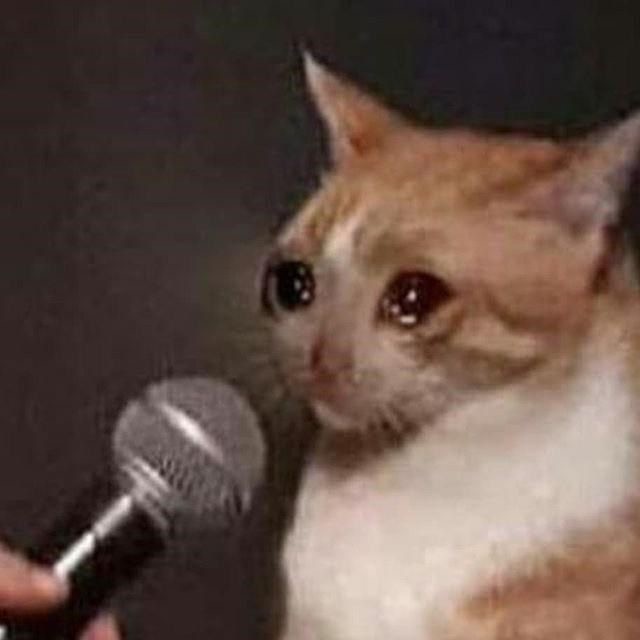 Create meme: cat meme , cat coughs meme, a crying cat with a microphone